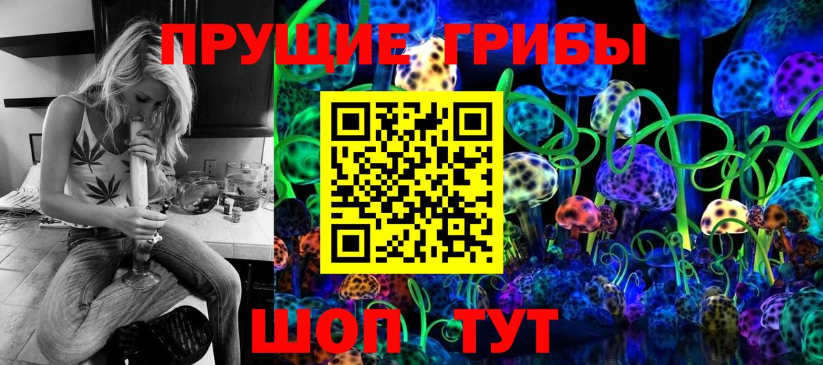 Волгоград  Псилоцибиновые грибы MAGIC MUSHROOMS  Вход с VPN  наркошоп  Галлюциногенные грибы ЛСД 